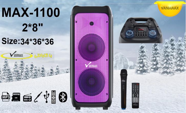 اسپیکر پارتی باکس VANMAAX MAX-1100